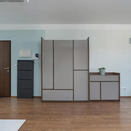 Apartment 60 M2 With Free Garage Near To The Centre By Renters *